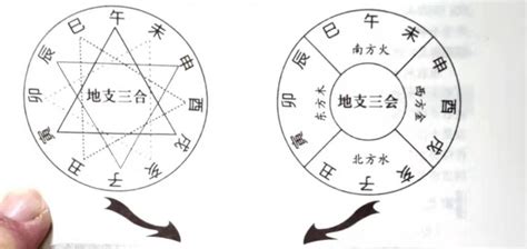 地支三会|地支、三合、三会、六合、六害、三刑详解——四柱八。